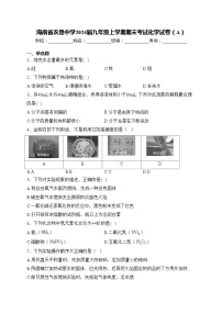 海南省农垦中学2024届九年级上学期期末考试化学试卷（A）(含答案)