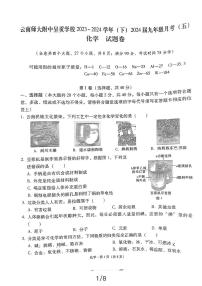 云南师大附中呈贡学校2023-2024学年九年级下学期月考（五）化学试卷