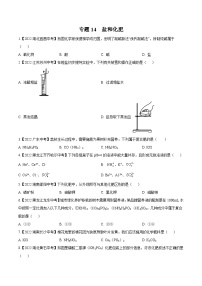 中考化学真题分项汇编(全国通用)(第02期)专题14盐和化肥(原卷版+解析)