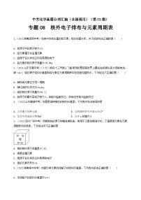 中考化学真题分项汇编(全国通用)(第03期)专题08核外电子排布与元素周期表(原卷版+解析)