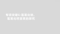 2024广西中考复习 通用版化学 教材基础复习 专项突破6：氢氧化钠、氢氧化钙变质的探究 课件