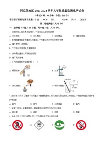 新疆阿克苏地区2023-2024学年九年级下学期3月抽测考试化学试题（原卷版+解析版）