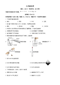 江苏省苏州高新区第一初级中学2023-2024学年九年级下学期3月月考化学试题（原卷版+解析版）