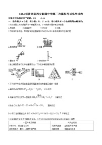 2024年陕西省西安翱翔中学第三次模拟考试化学试卷(无答案)