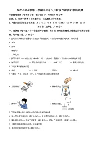 广西南宁市广西大学附属中学2023—2024学年九年级下学期3月阶段测试化学试题（原卷版+解析版）