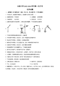 四川省资阳市安岳县安岳中学九年级2023-2024学年上学期十月月考化学试题