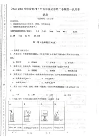 天津市武清区杨村第五中学2023-2024学年九年级下学期第一次月考化学试题