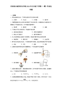 河南省永城市部分学校2024年九年级下学期（一模）考试化学题