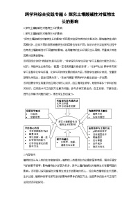 跨学科综合实践专题6 探究土壤酸碱性对植物生长的影响-2024中考化学二轮