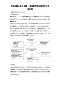 跨学科综合实践专题9 调查家用燃料的变迁与合理使用-2024中考化学二轮