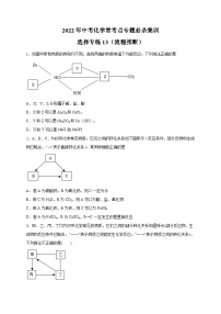 选择专练13（流程推断30题）-2022年中考化学常考点专题必杀集训（人教版）