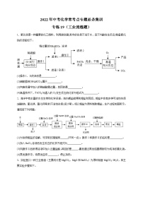 专练19（工业流程题20题）-2022年中考化学常考点专题必杀集训（人教版）