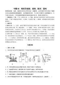 专题 06 物质的检验、鉴别、除杂、提纯-2023年中考化学总复习高频考点必刷题（全国通用）