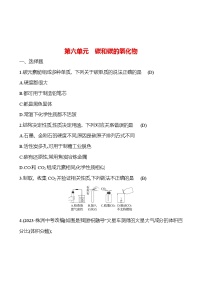 2023-2024 人教版化学 中考一轮复习 第六单元　碳和碳的氧化物 提高练习