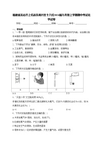 福建省龙岩市上杭县东南片区十八校2024届九年级上学期期中考试化学试卷(含答案)