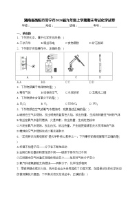 湖南省衡阳市常宁市2024届九年级上学期期末考试化学试卷(含答案)