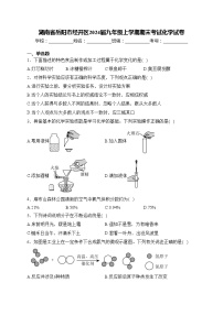 湖南省岳阳市经开区2024届九年级上学期期末考试化学试卷(含答案)