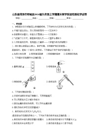 山东省菏泽市郓城县2024届九年级上学期期末教学质量检测化学试卷(含答案)