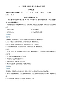 2023年山东省聊城市中考化学真题（含解析）