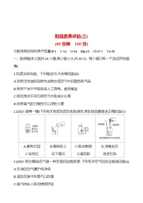 2023-2024 人教版化学 山东中考一轮复习 阶段素养评估(三) 试卷