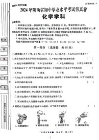 2024年陕西省汉中市初中学业水平考试化学仿真卷