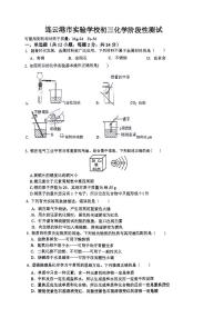 江苏省连云港市实验学校2023-2024学年九年级下学期第一次月考化学试卷