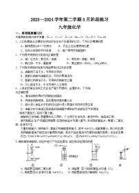 江苏省南通市海门区多校2023-2024学年九年级下学期3月月考化学试题