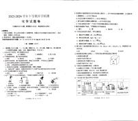 云南省昆明市石林县鹿阜中学2023--2024学年九年级下学期开学检测化学试题卷