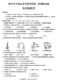 2023-2024学年河南省平顶山市九年级中招一模化学试卷及参考答案