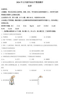 2024年河南省新乡市九年级中考一模化学试卷及答案