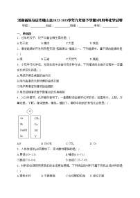 河南省驻马店市确山县2022-2023学年九年级下学期3月月考化学试卷(含答案)