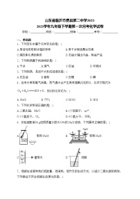 山东省临沂市费县第二中学2022-2023学年九年级下学期第一次月考化学试卷(含答案)