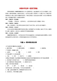 最新中考化学一轮复习举一反三系列  专题06 碳和碳的氧化物（提分精练）