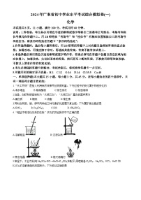 2024年广东省茂名市滨海新区初中学业水平考试综合模拟化学试卷（一）