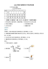 2022年四川省资阳市中考化学真题（含解析）