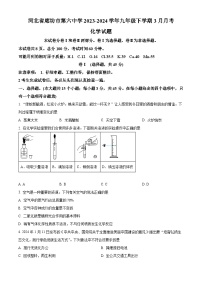 河北省廊坊市第六中学2023-2024学年九年级下学期3月月考化学试题（原卷版+解析版）