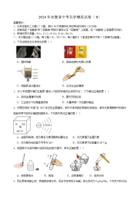 2024年安徽省中考化学模拟试卷（8）