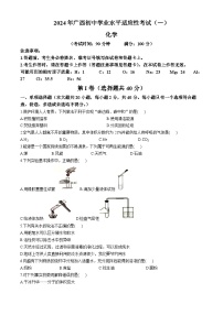 2024年广西壮族自治区北海市中考一模化学试题