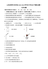 2024年山东省菏泽市东明县中考一模化学试题（原卷版+解析版）