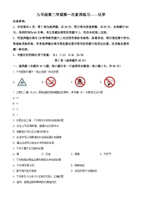 江苏省南京市竹山中学2023-2024学年九年级下学期下学期3月月考化学试题（原卷版+解析版）