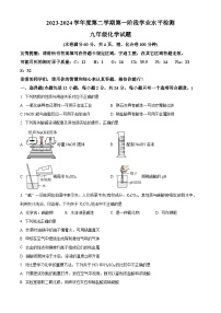 江苏省连云港市赣榆实验中学2023-2024学年九年级下学期下学期3月月考化学试题（原卷版+解析版）