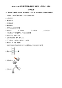 四川省成都市高新区九年级2023-2024学年上学期期末化学试题 (1)