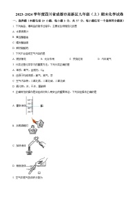 四川省成都市高新区九年级2023-2024学年上学期期末化学试题