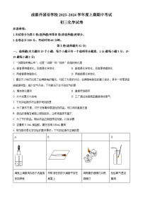 四川省成都市外国语学校九年级2023-2024学年上学期期中化学试题