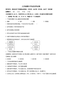 四川省眉山市东坡区东辰学校九年级2023-2024学年上学期期中化学试题