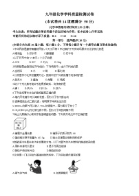 2024年辽宁省大连市沙河口区中考一模质量检测化学试卷(无答案)