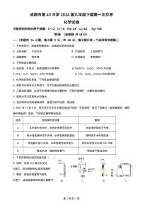 四川省成都市第四十三中学校2023-2024学年九年级下学期3月月考化学试题