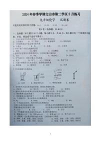 云南省文山州文山市第二学区2023-2024学年九年级下学期3月份月考化学试卷