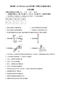 福建省福州市第十九中学2023-2024学年九年级下学期3月化学练习卷（原卷版+解析版）