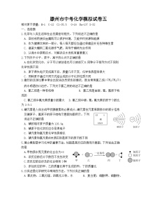 2024年山东省枣庄市滕州市中考模拟化学试卷5